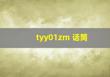 tyy01zm 话筒